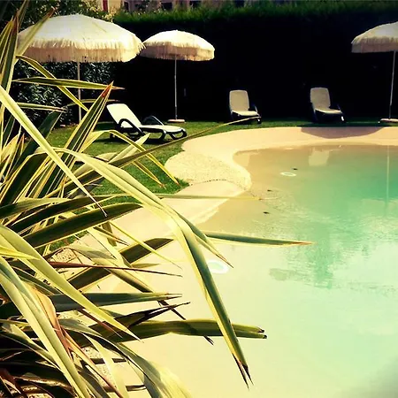 Avesani باسترينغو